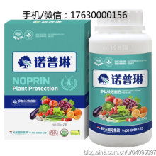 散裝食品的興衰與轉型 在傳統(tǒng)與現代之間尋求平衡